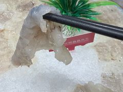-官塘鱻鱻鱼生·潮汕生腌·砂锅粥(西马路总店)