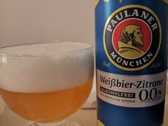 -宝莱纳啤酒花园餐厅PAULANER BRAUHAUS Nanjing(广州路店)