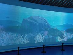 -广东惠东海龟国家级自然保护区