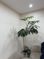 -HEYAN荷妍专业脱毛连锁机构