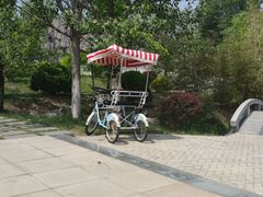 -武清南湖绿博园