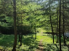 -武陵山森林公园