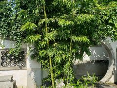 -王家大院