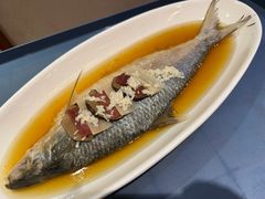 清蒸鲥鱼-光明邨大酒家(淮海路店)