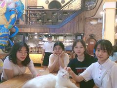 -more than meow吴止猫主题餐厅(承德 中船汇店)