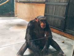 -石家庄市动物园