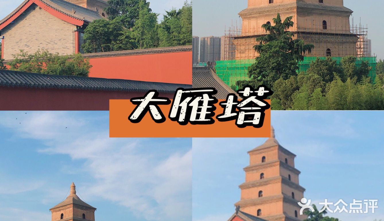 🍃春风得意马蹄疾，一日看尽长安花