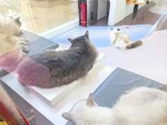 -天河领展广场