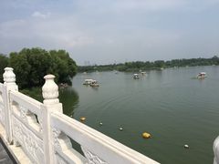 -北京麋鹿生态实验中心