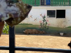 -西霞口神雕山野生动物世界