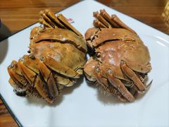 -呼吸森林·生态农庄农家乐私房菜