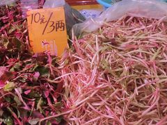 -五里多农博广场