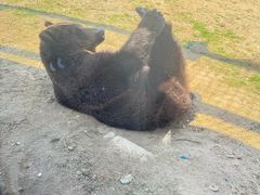 -祥源·阜阳生态乐园