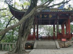 -乌山风景区