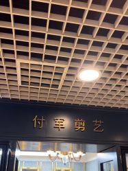 -付军剪艺