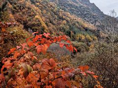 -小五台金河景区