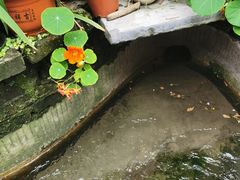 -海窝子古镇