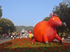 -东南花都花博园