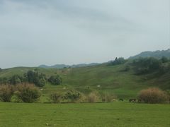 -新疆那拉提国家旅游度假区