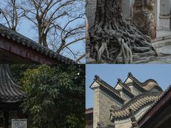 -龙潭水乡