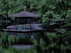 -上海共青森林公园