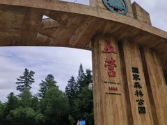 -五营国家森林公园