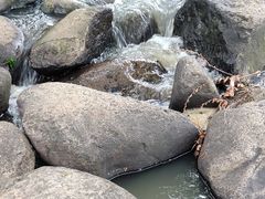 -钟山体育运动公园