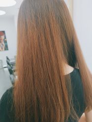 -YESIDO椰岛造型