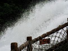 -广州白江湖森林公园