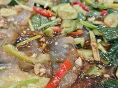 -春妮海味饭店·海景餐厅·海菜包子·大连海鲜