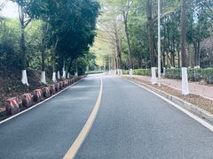 -凤岗南门山森林公园