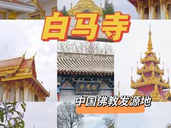 -洛阳白马寺