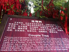 -乌镇西栅景区-月老庙