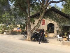 -村上春树
