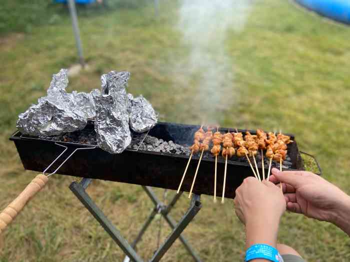 北京龙战军都山草坪自助烧烤