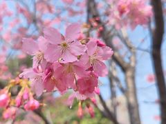 -堤角公园
