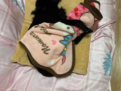 -芭比堂宠物医院·全科爱猫医院·仁德分院