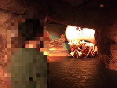 -东京塔海贼王主题公园