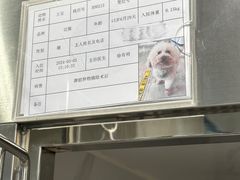 -北京派仕佳德动物医院·超导核磁·CT·神经科·骨科·内外科·急重症管理中心