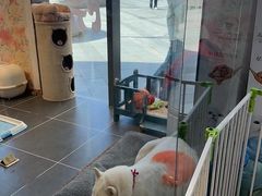 -萌兽医馆·眼科·异宠专科(三里屯店)