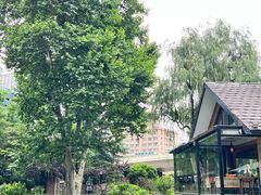 -静安公园(静安寺街道)