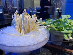 -王家渡火锅店(棕榈泉店)