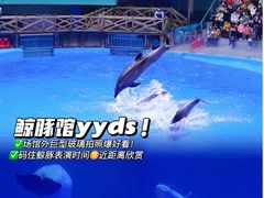 -海合安成都极地海洋公园