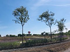 -歌斐颂巧克力小镇