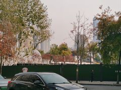 -后襄河公园