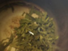 -真素诚(玉泉路总店)
