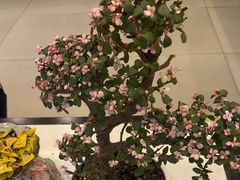 -正清和·推拿养生(二七广场店)