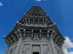 -嘉荫恐龙国家地质公园