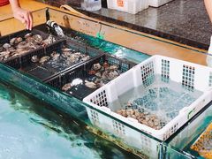 小海鲜-马王堆海鲜水产市场