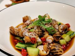 叶淋辣花螺-宝燕壹号(徐汇店)